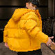  長袖 シンプル ファッション 一般 一般 秋冬 フード付き ジッパー ファスナー 無地 ポリエステル綿コート・ダウンジャケット