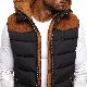綿コート・ダウンジャケットカジュアル韓国ファッション オシャレ 服秋冬メンズポリエステルノースリーブ一般一般フード付きジッパー切り替え配色